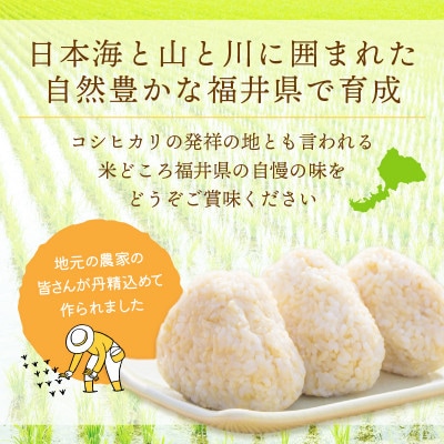 令和6年産　コシヒカリ(玄米)　10kg