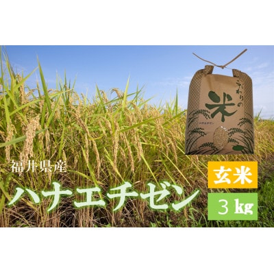令和7年産　ハナエチゼン(玄米)　3kg