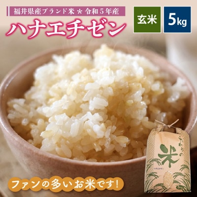 令和6年産　ハナエチゼン(玄米)　5kg