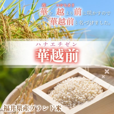 令和6年産　ハナエチゼン(玄米)　5kg