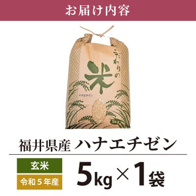 令和6年産　ハナエチゼン(玄米)　5kg