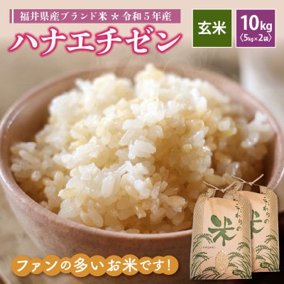 令和6年産　ハナエチゼン(玄米)　10kg