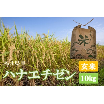 令和7年産　ハナエチゼン(玄米)　10kg