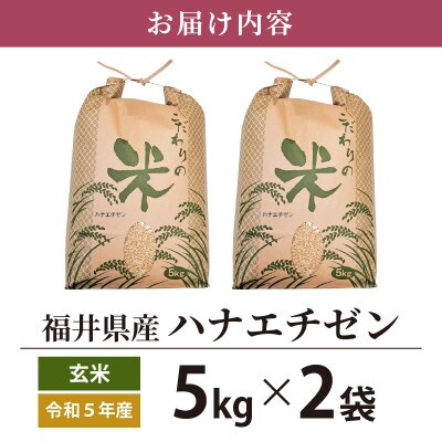令和6年産　ハナエチゼン(玄米)　10kg