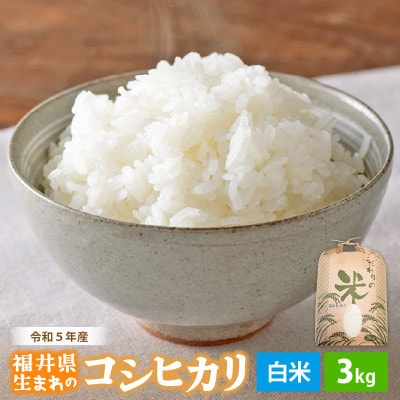 令和6年産　コシヒカリ(精米)　3kg