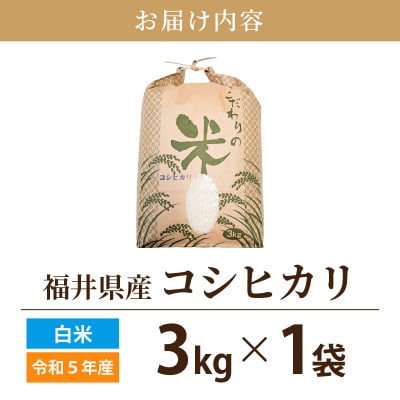 令和6年産　コシヒカリ(精米)　3kg