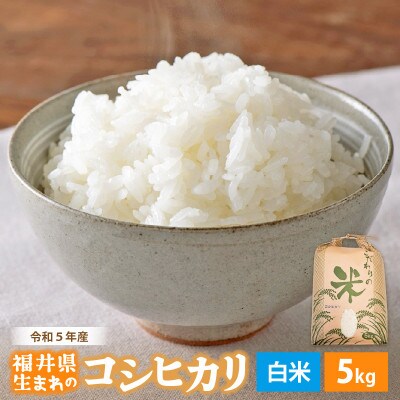 令和6年産　コシヒカリ(精米)　5kg