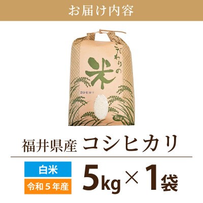 令和6年産　コシヒカリ(精米)　5kg