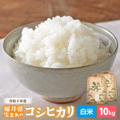 令和6年産　コシヒカリ(精米)　10kg
