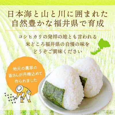 令和6年産　コシヒカリ(精米)　10kg