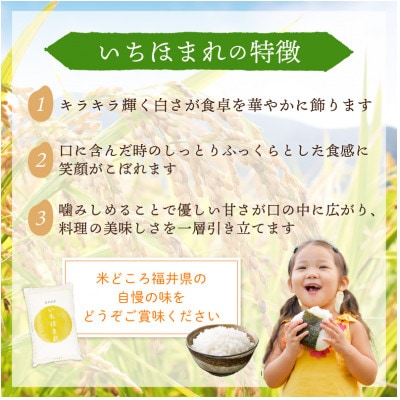 令和5年産　いちほまれ(精米)　2kg
