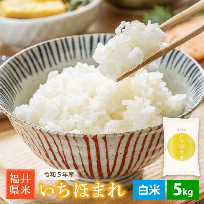 令和5年産　いちほまれ(精米)　5kg