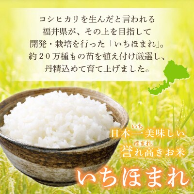 令和5年産　いちほまれ(精米)　5kg