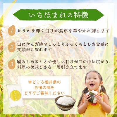 令和5年産　いちほまれ(精米)　5kg