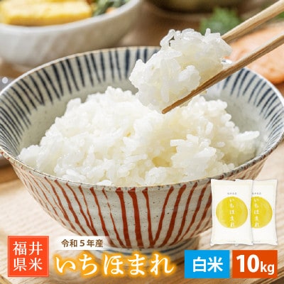令和5年産　いちほまれ(精米)　10kg