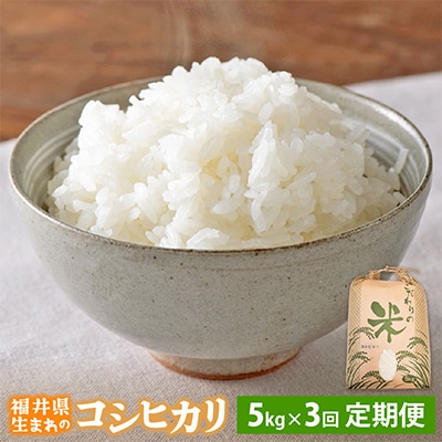【毎月定期便】コシヒカリ 5kg × 3回 福井県産[白米]全3回