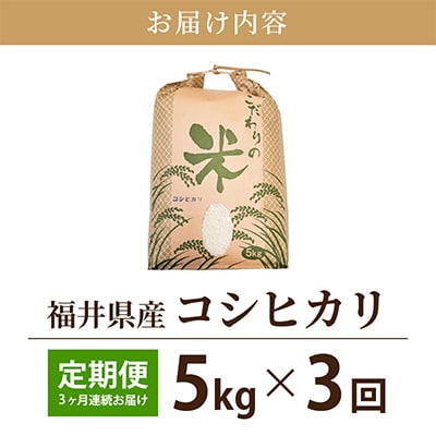 【毎月定期便】コシヒカリ 5kg × 3回 福井県産[白米]全3回