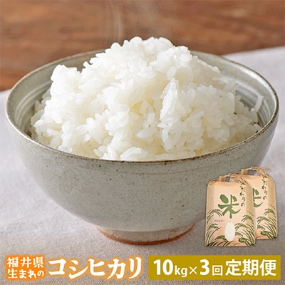 【毎月定期便】コシヒカリ 10kg × 3回 福井県産[白米]全3回
