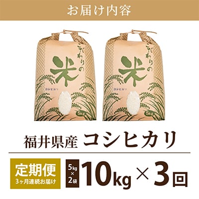 【毎月定期便】コシヒカリ 10kg × 3回 福井県産[白米]全3回