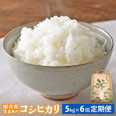 【毎月定期便】コシヒカリ 5kg × 6回 福井県産[白米]全6回