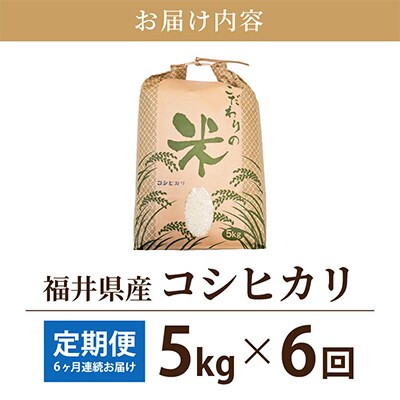 【毎月定期便】コシヒカリ 5kg × 6回 福井県産[白米]全6回