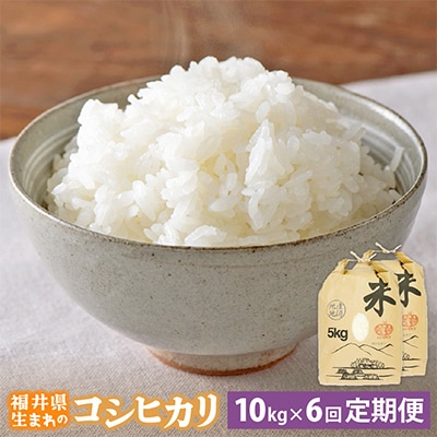 【毎月定期便】コシヒカリ 10kg × 6回 福井県産[白米]全6回