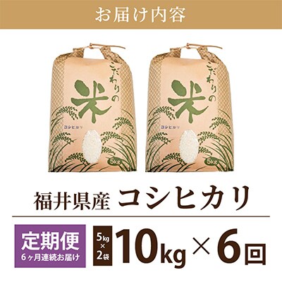 【毎月定期便】コシヒカリ 10kg × 6回 福井県産[白米]全6回