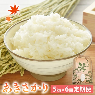 【毎月定期便】あきさかり 5kg × 6回　福井県産[白米]全6回
