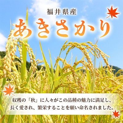 【毎月定期便】あきさかり 10kg × 3回　福井県産[白米]全3回