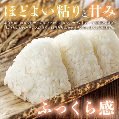 【毎月定期便】あきさかり 10kg × 3回　福井県産[白米]全3回