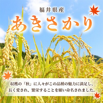 【毎月定期便】あきさかり 10kg × 6回　福井県産[白米]全6回