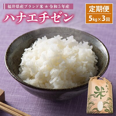 【毎月定期便】ハナエチゼン 5kg × 3回　福井県産[白米]全3回