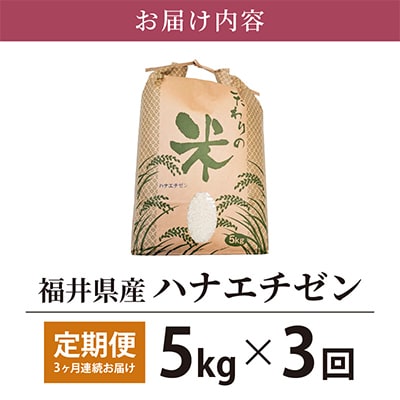 【毎月定期便】ハナエチゼン 5kg × 3回　福井県産[白米]全3回