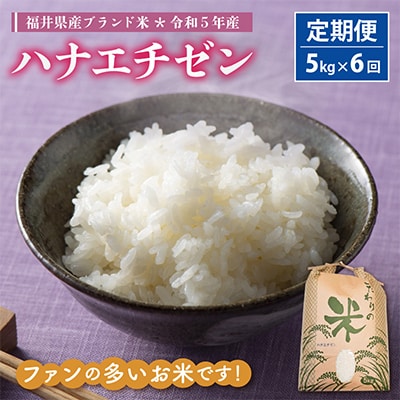 【毎月定期便】ハナエチゼン 5kg × 6回　福井県産[白米]全6回