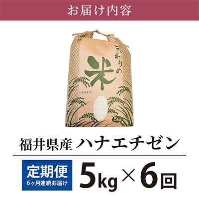【毎月定期便】ハナエチゼン 5kg × 6回　福井県産[白米]全6回