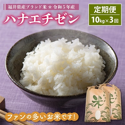 【毎月定期便】ハナエチゼン 10kg × 3回　福井県産[白米]全3回