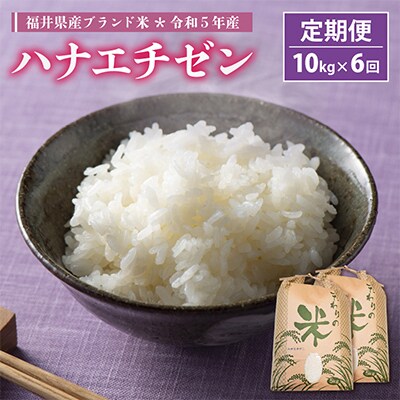 【毎月定期便】ハナエチゼン 10kg × 6回　福井県産[白米]全6回