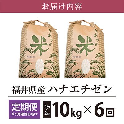 【毎月定期便】ハナエチゼン 10kg × 6回　福井県産[白米]全6回