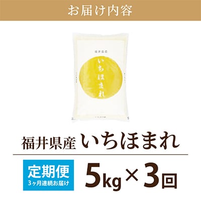 【毎月定期便】いちほまれ 5kg 福井県産[白米]全3回