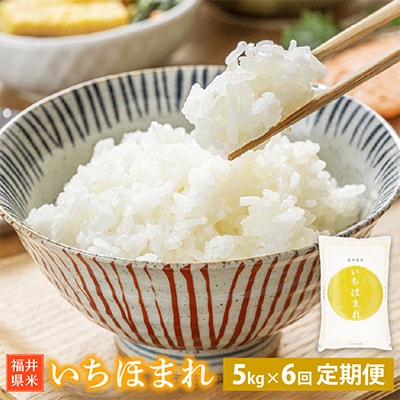 【毎月定期便】いちほまれ 5kg 福井県産[白米]全6回