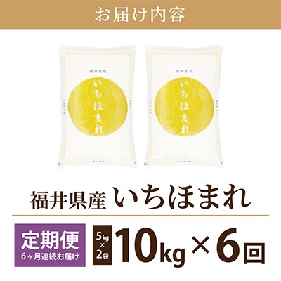 【毎月定期便】いちほまれ 10kg 福井県産[白米]全6回