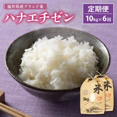 2023年5月発送開始『定期便』≪6か月連続お届け≫　ハナエチゼン10kg(5kg×2袋)　全6回