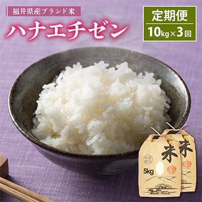2023年8月発送開始『定期便』≪3か月連続お届け≫ ハナエチゼン10kg (5kg×2袋) 全3回