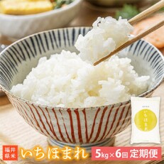 2023年5月発送開始『定期便』≪6か月連続お届け≫　いちほまれ5kg　全6回