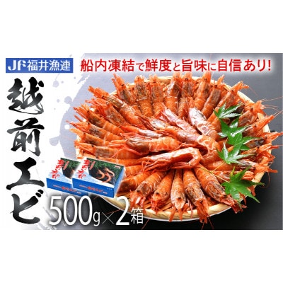 【JF福井漁連ブランド】船凍越前えび 500g×2箱