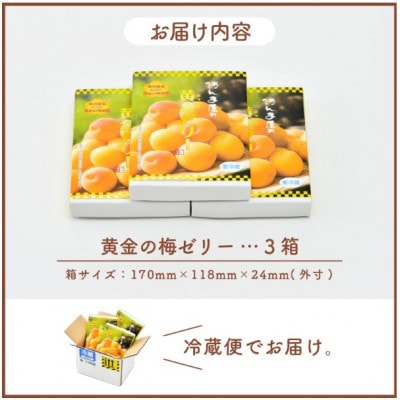 夏の水羊羹!「黄金ゼリー」 250g × 3箱(計750g)自慢の白餡と「黄金梅」ピューレのコラボ!