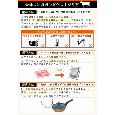若狭牛のA4等級以上を厳選!サーロインステーキ 計400g(200g×2枚)(牛脂付き)
