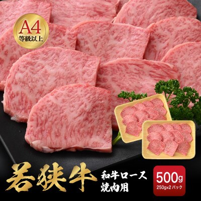 若狭牛 和牛ロース焼肉用 計500g(250g × 2パック)