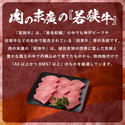 若狭牛 和牛ロース焼肉用 計500g(250g × 2パック)