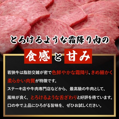 若狭牛 和牛ロース焼肉用 計500g(250g × 2パック)